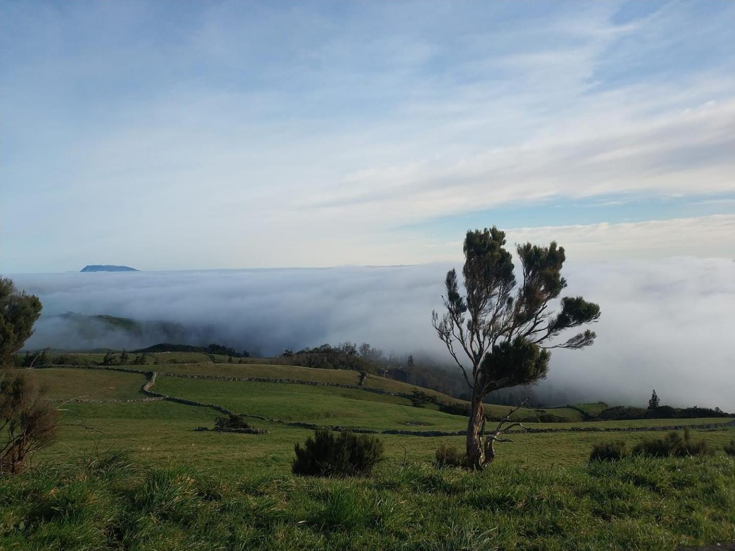Villa Casa Da Queijaria Faja Grande Esterno foto